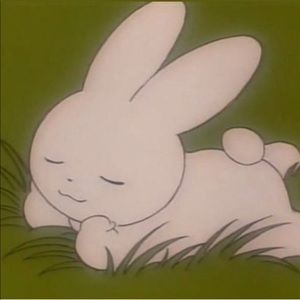 Meet your Posher, Ashlynn